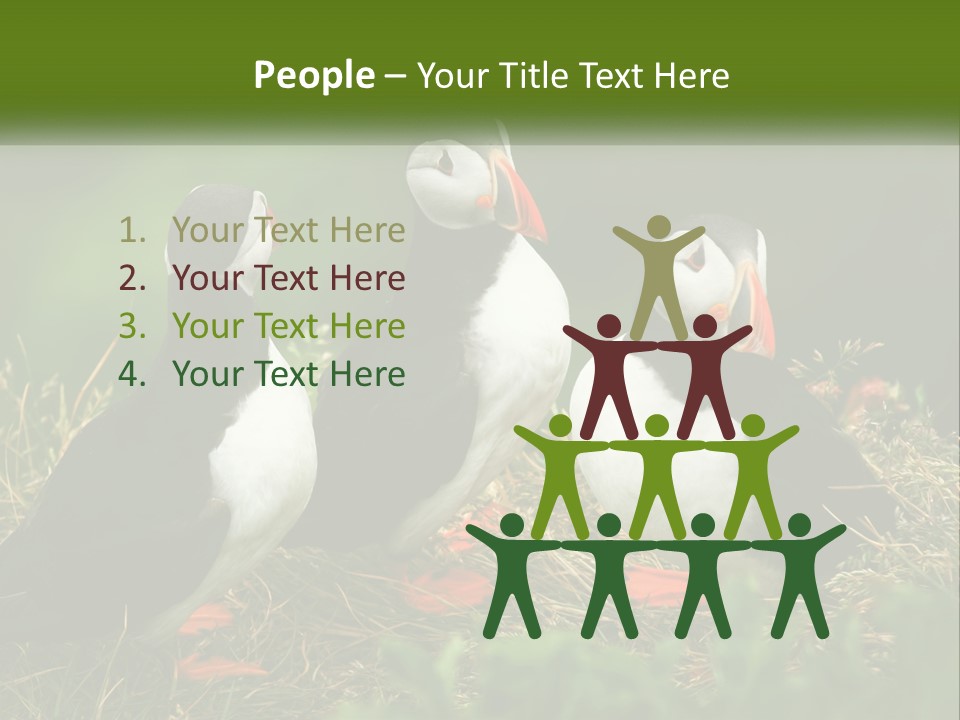 Cold White Condition PowerPoint Template