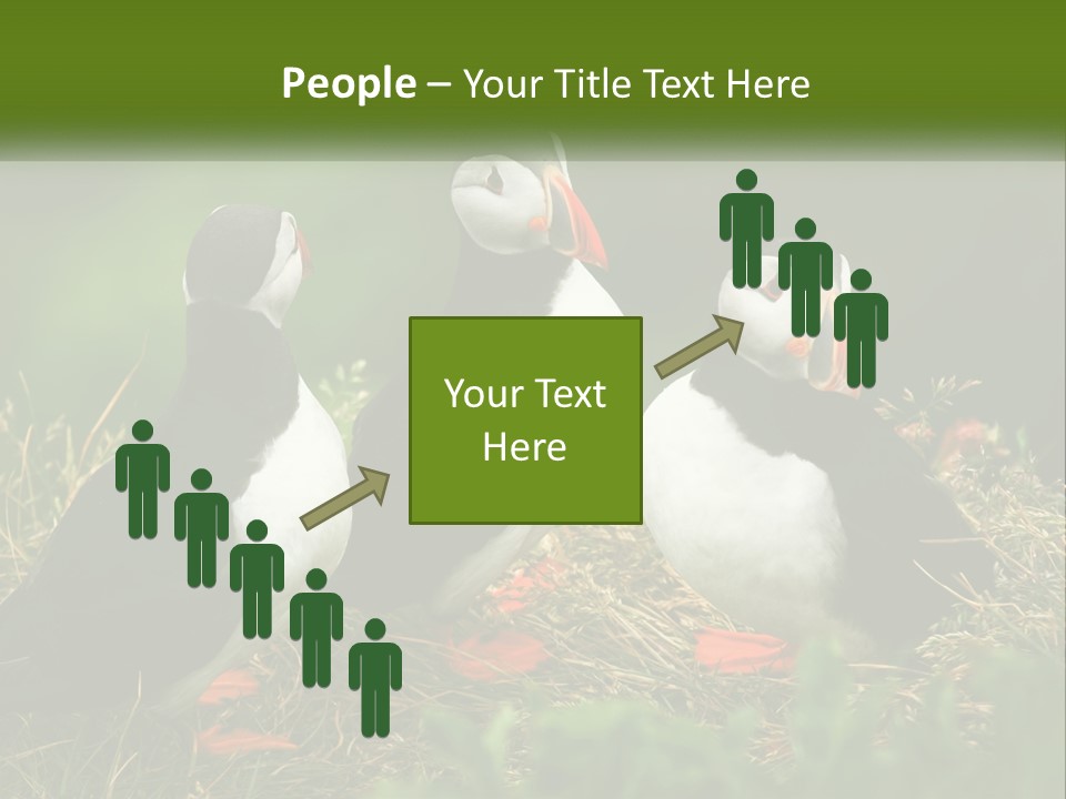 Cold White Condition PowerPoint Template