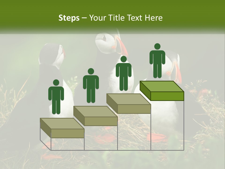 Cold White Condition PowerPoint Template