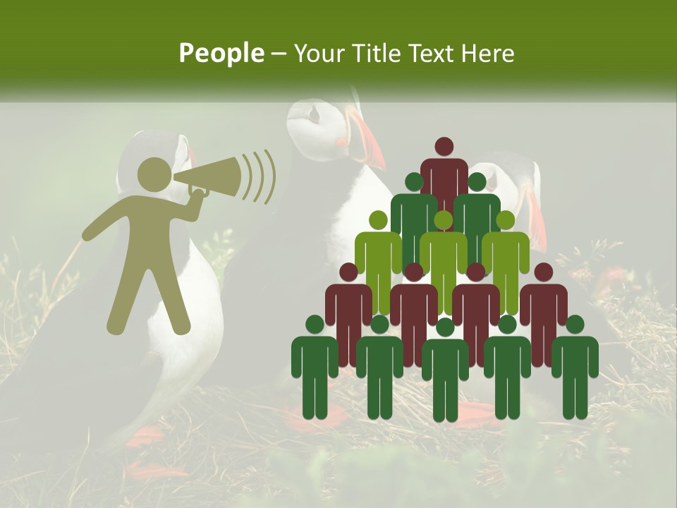 Cold White Condition PowerPoint Template