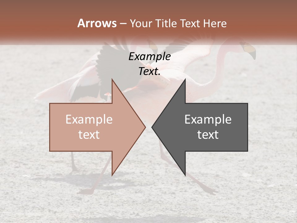 Air White Remote PowerPoint Template