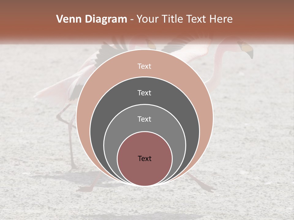 Air White Remote PowerPoint Template