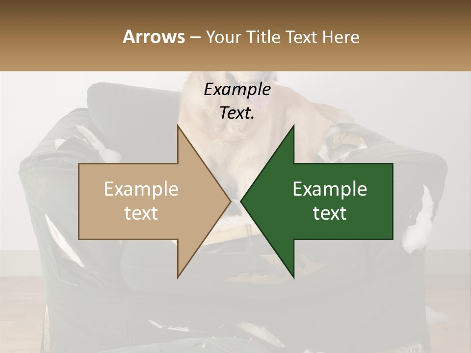 Temperature Part Supply PowerPoint Template