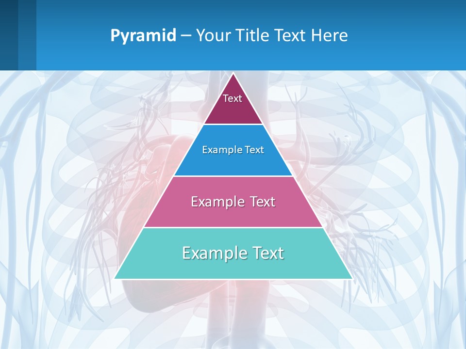 Cold Conditioner Ventilation PowerPoint Template