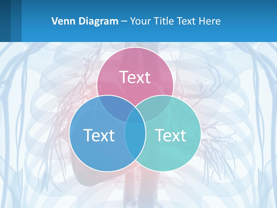 Cold Conditioner Ventilation PowerPoint Template