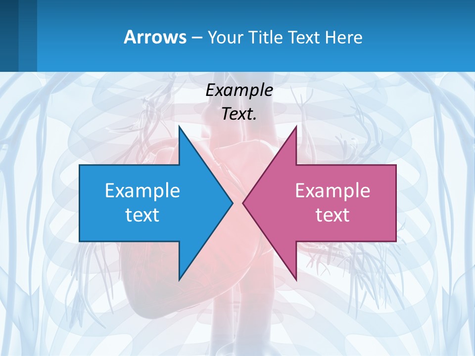 Cold Conditioner Ventilation PowerPoint Template