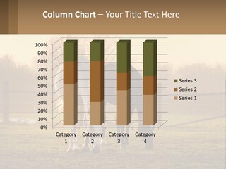 Home Cool System PowerPoint Template
