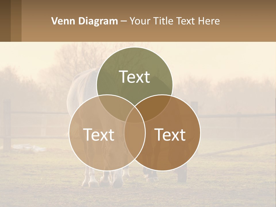 Home Cool System PowerPoint Template