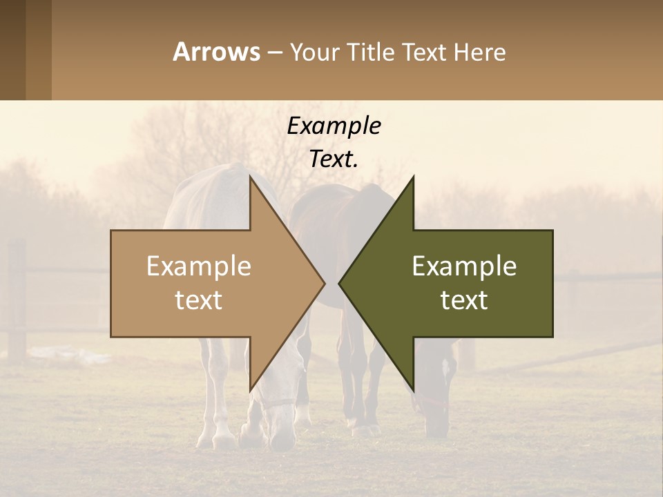 Home Cool System PowerPoint Template