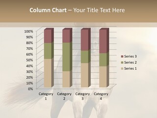 House Ventilation Home PowerPoint Template