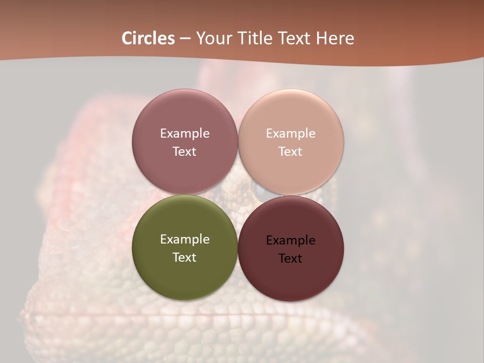 Equipment Supply Remote PowerPoint Template