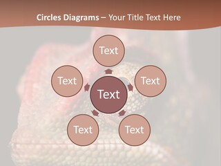 Equipment Supply Remote PowerPoint Template