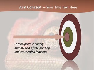 Equipment Supply Remote PowerPoint Template