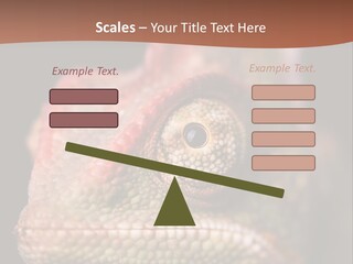 Equipment Supply Remote PowerPoint Template