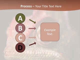 Equipment Supply Remote PowerPoint Template