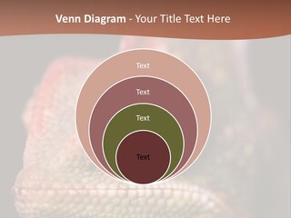 Equipment Supply Remote PowerPoint Template