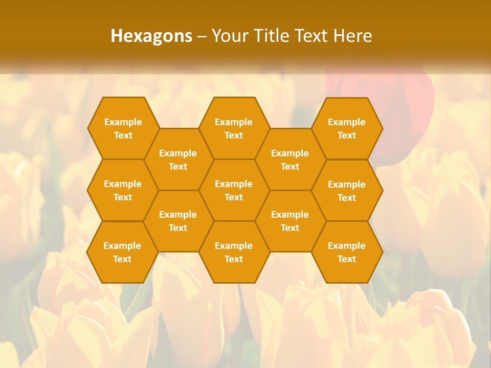 Power Part Heat PowerPoint Template