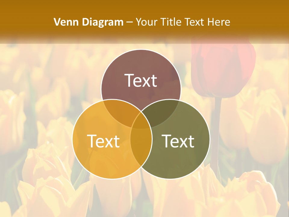 Power Part Heat PowerPoint Template