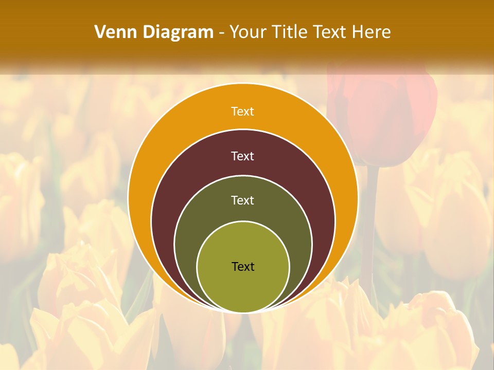 Power Part Heat PowerPoint Template