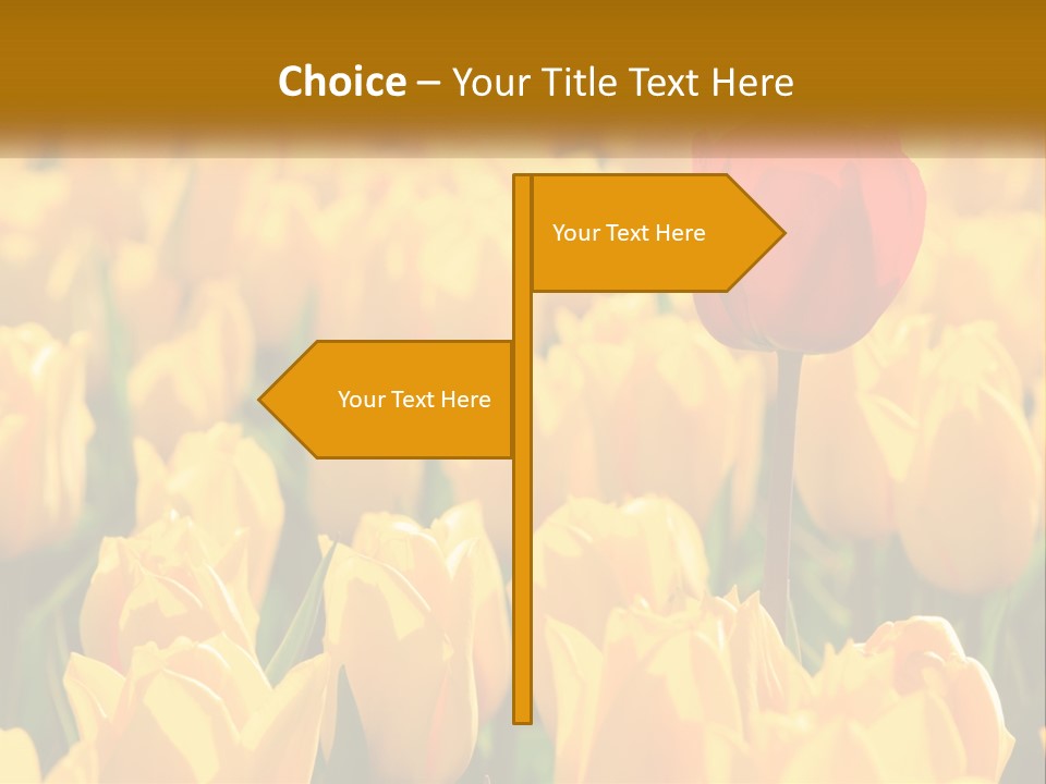 Power Part Heat PowerPoint Template