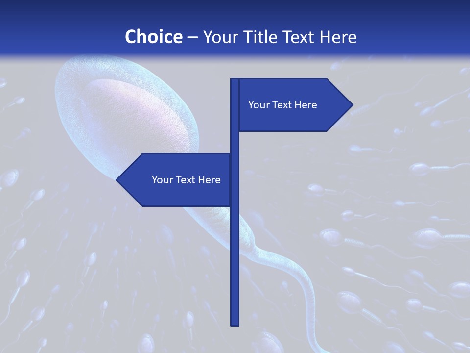 Home Electricity Climate PowerPoint Template