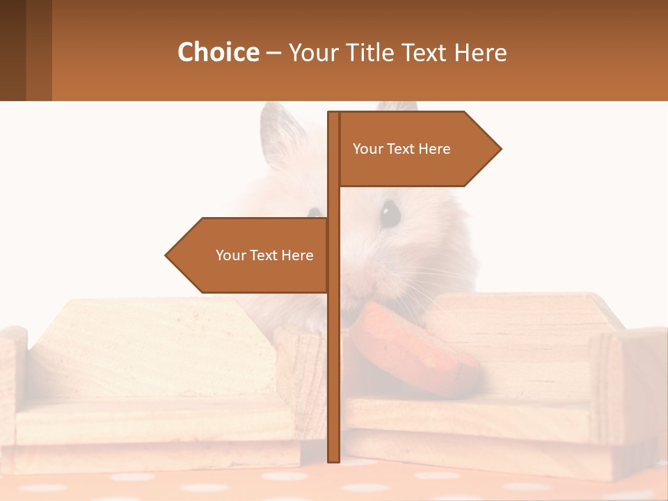 Heat Electricity Temperature PowerPoint Template