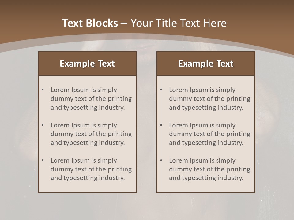 Conditioner Electric White PowerPoint Template