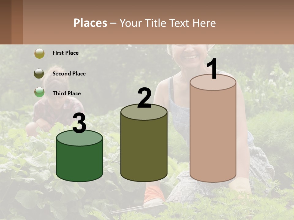 Home House Cold PowerPoint Template