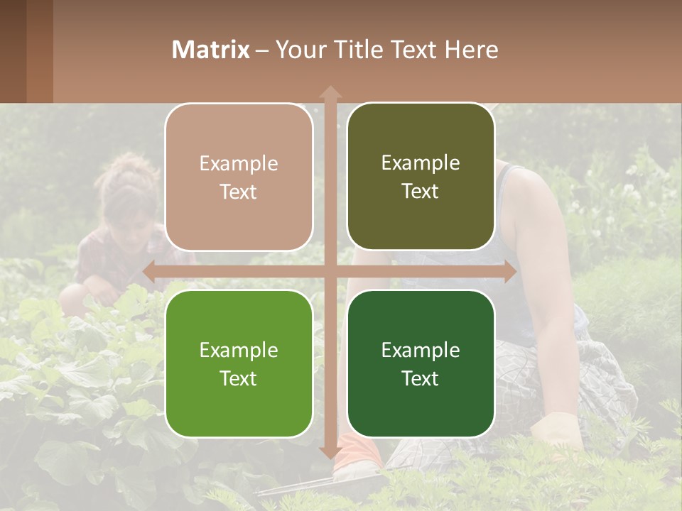 Home House Cold PowerPoint Template