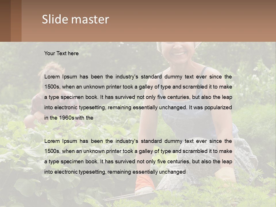 Home House Cold PowerPoint Template