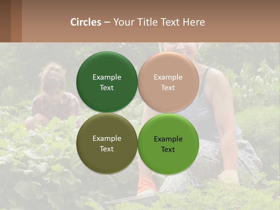 Home House Cold PowerPoint Template