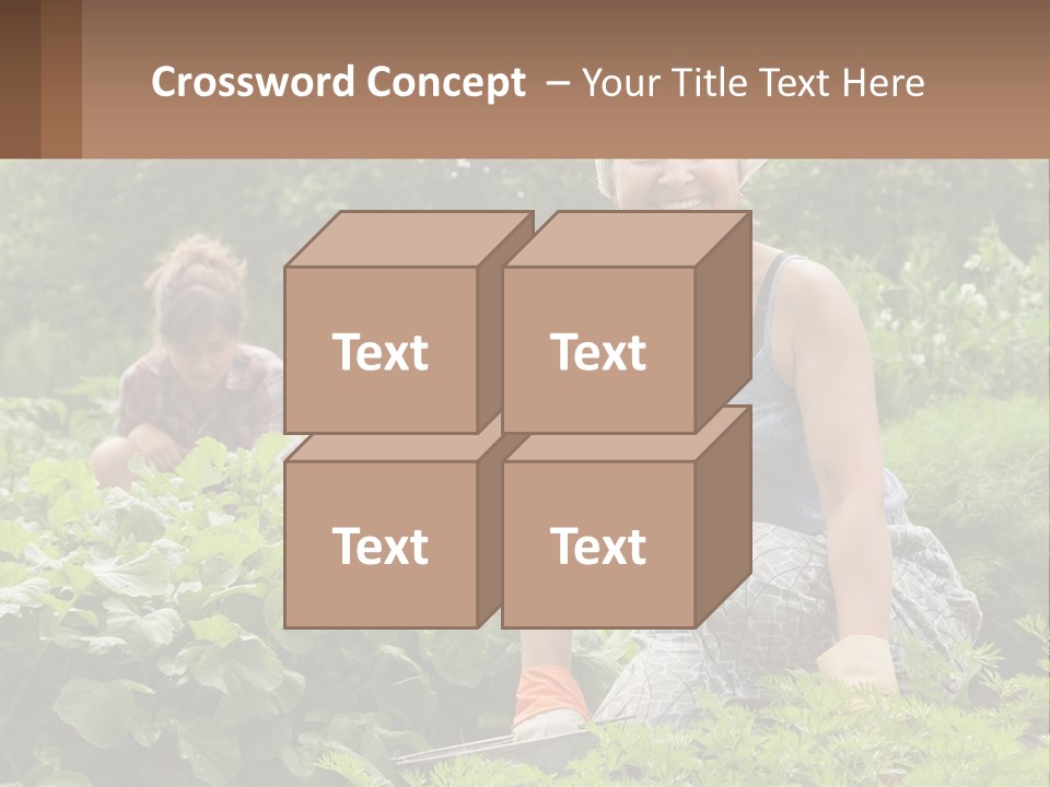 Home House Cold PowerPoint Template