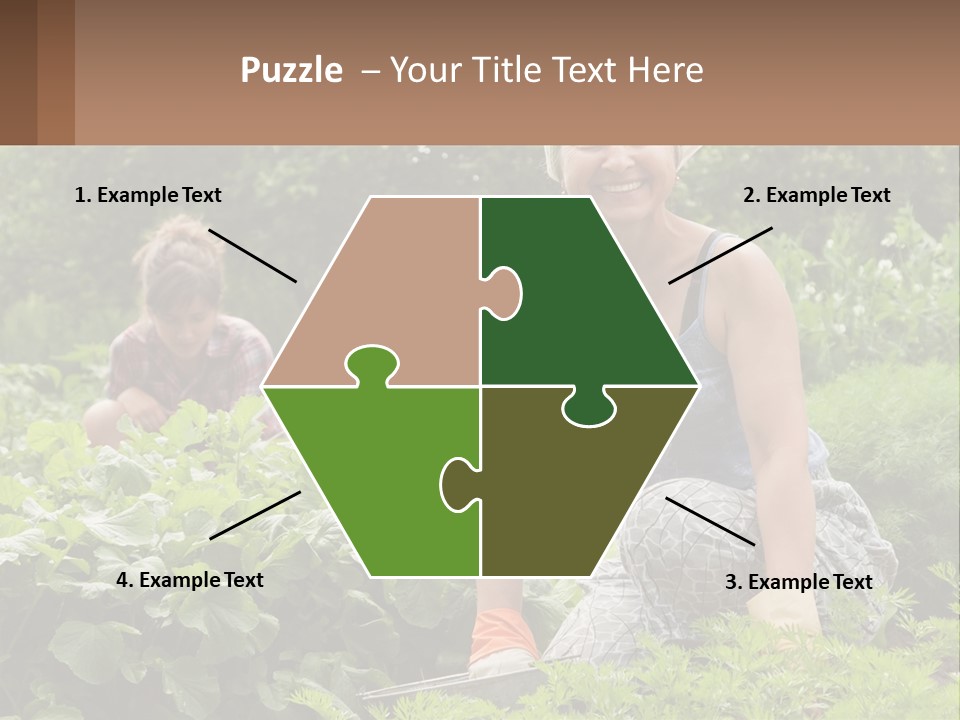 Home House Cold PowerPoint Template