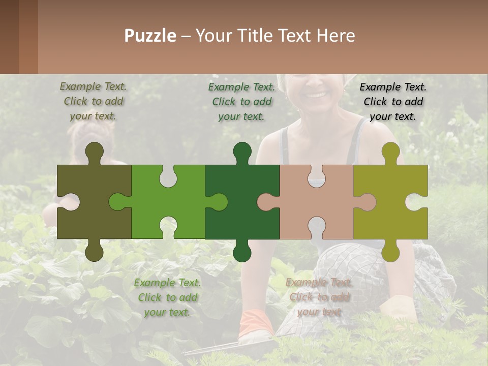 Home House Cold PowerPoint Template