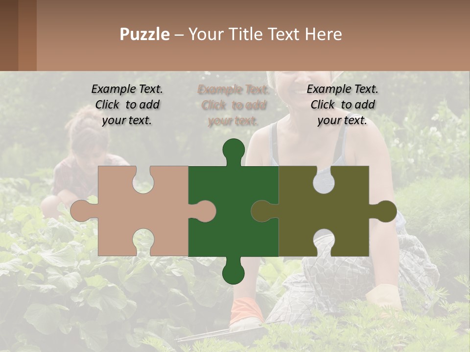 Home House Cold PowerPoint Template