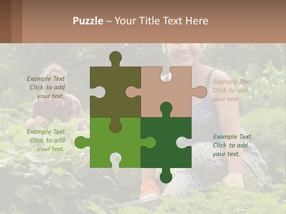 Home House Cold PowerPoint Template