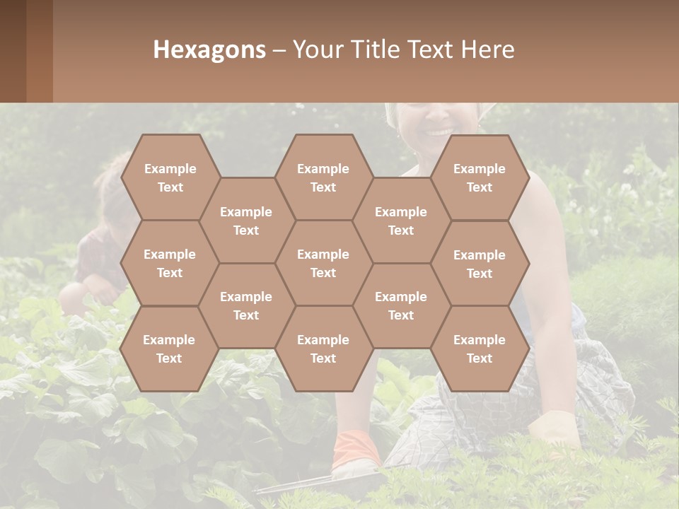 Home House Cold PowerPoint Template