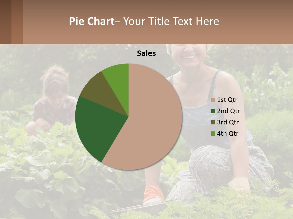 Home House Cold PowerPoint Template