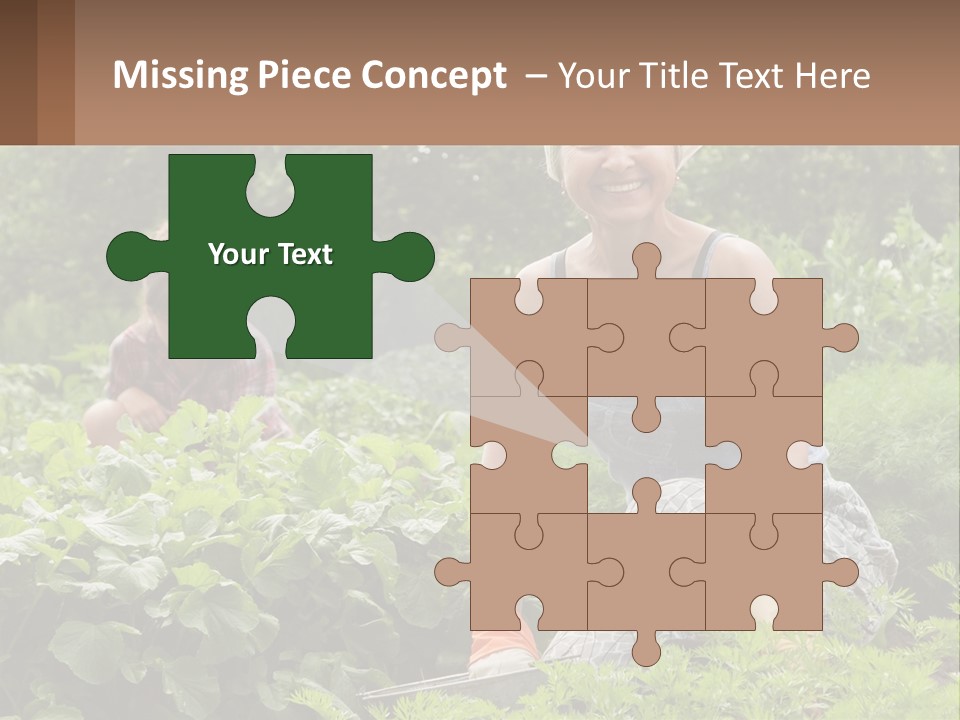 Home House Cold PowerPoint Template