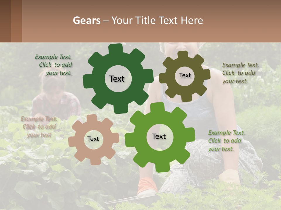 Home House Cold PowerPoint Template