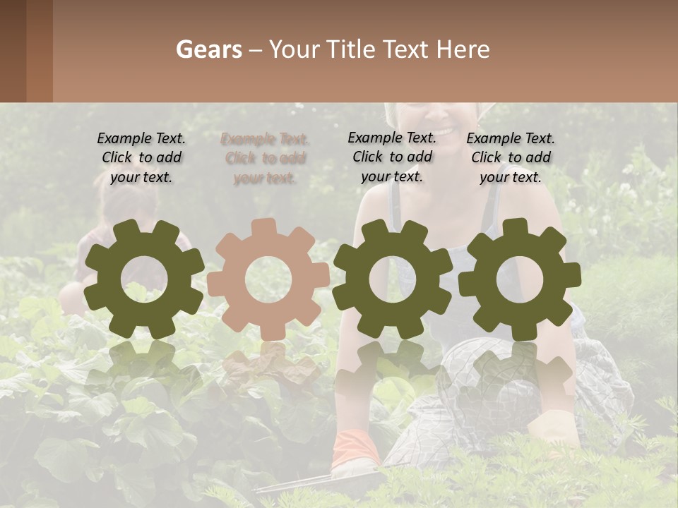 Home House Cold PowerPoint Template