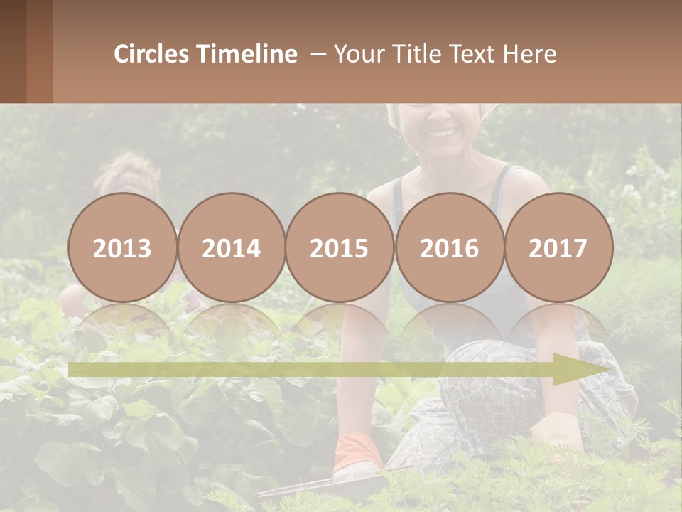 Home House Cold PowerPoint Template