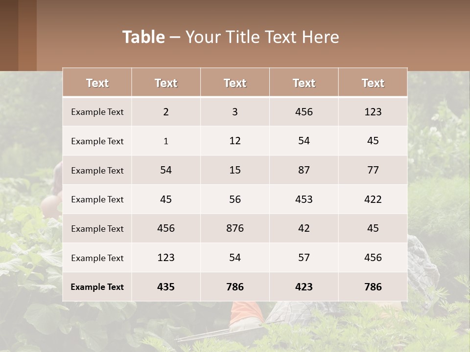 Home House Cold PowerPoint Template