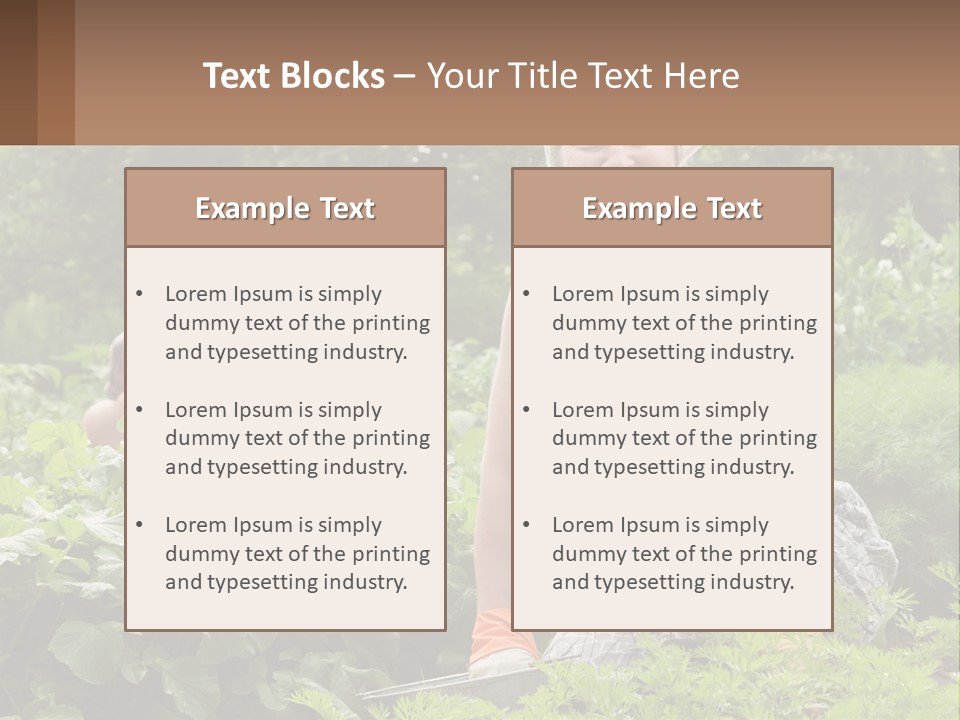Home House Cold PowerPoint Template
