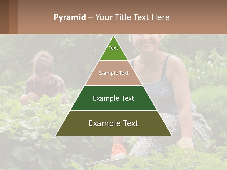 Home House Cold PowerPoint Template