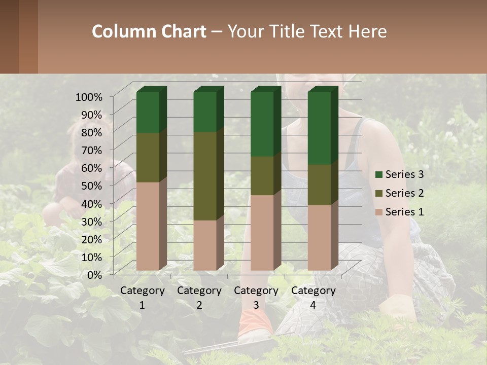 Home House Cold PowerPoint Template