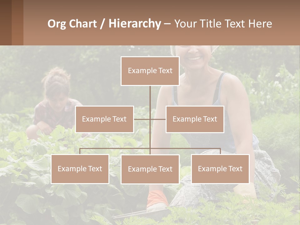 Home House Cold PowerPoint Template