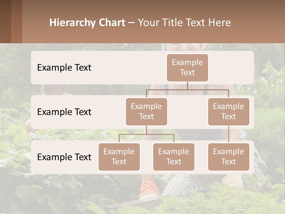 Home House Cold PowerPoint Template