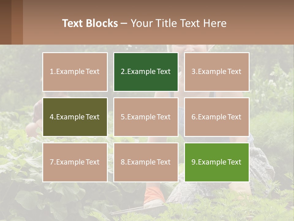 Home House Cold PowerPoint Template