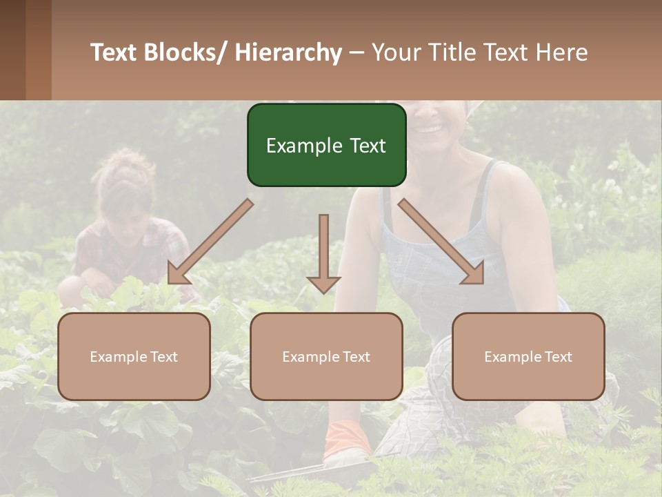 Home House Cold PowerPoint Template